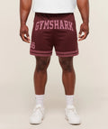 Gymshark Varsity Mesh Shorts